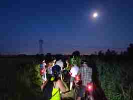 Salvaiciclisti Bologna