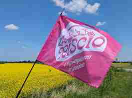 Salvaiciclisti Bologna