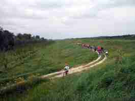 Salvaiciclisti Bologna