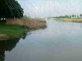 Salvaiciclisti Bologna