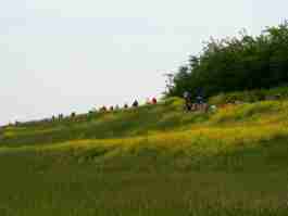 Salvaiciclisti Bologna