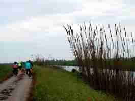 Salvaiciclisti Bologna