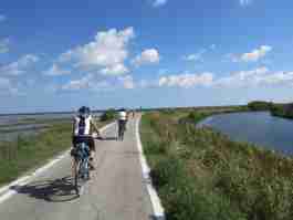 Salvaiciclisti Bologna