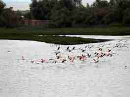 Salvaiciclisti Bologna