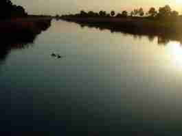 Salvaiciclisti Bologna