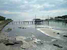 Salvaiciclisti Bologna