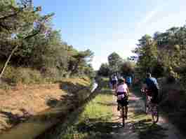 Salvaiciclisti Bologna