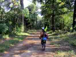 Salvaiciclisti Bologna