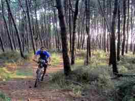 Salvaiciclisti Bologna