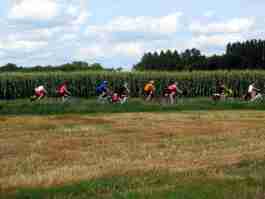 Salvaiciclisti Bologna