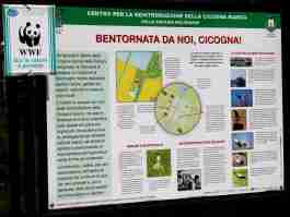 Salvaiciclisti Bologna