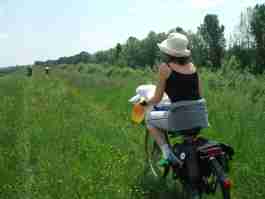 Salvaiciclisti Bologna